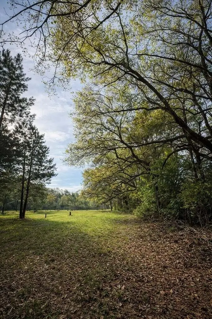 7 Acres F Z Goss, Picayune, MS 39466 - #3