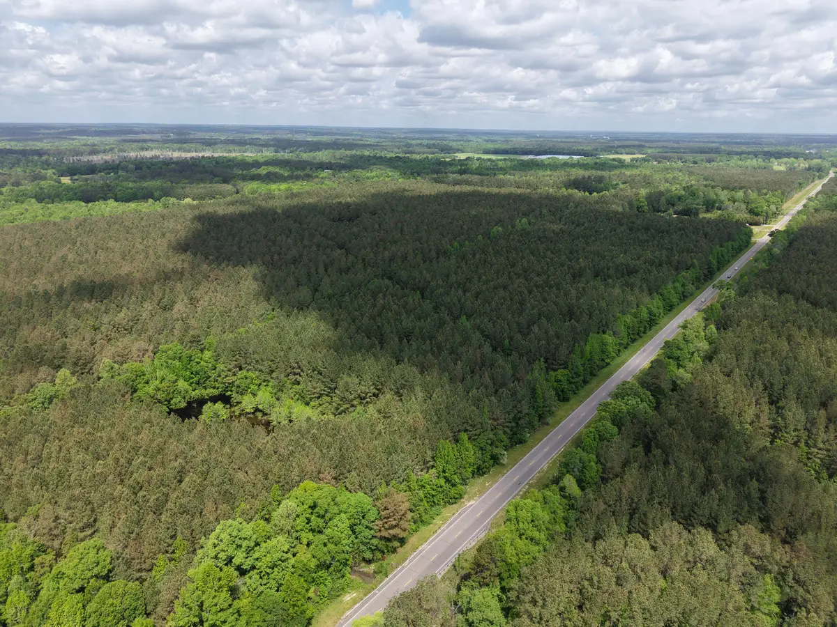 00 Route 11, Moselle, MS 39459 - #1