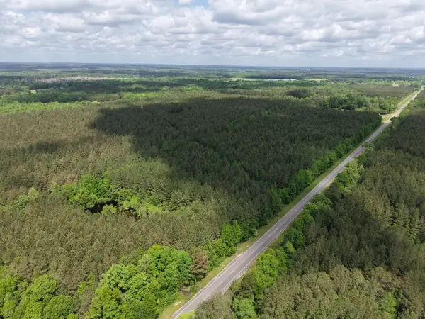 00 Route 11, Moselle, MS 39459