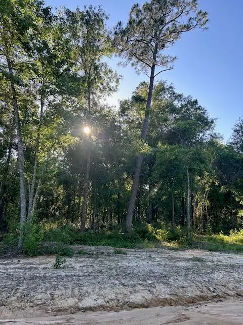 06 Log Cabin Ln, Poplarville, MS 39470 - #3