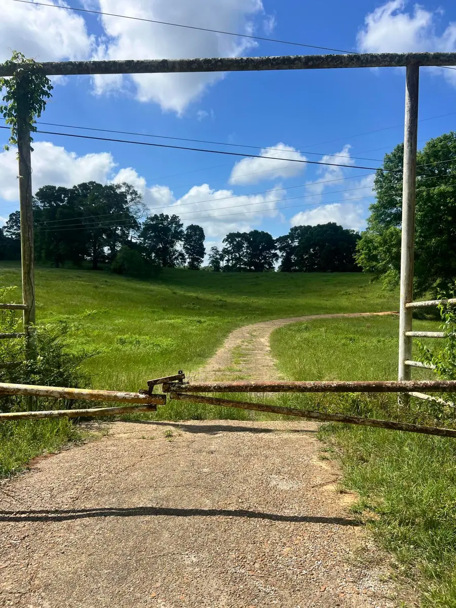 470 Station Creek, Collins, MS 39428 - #2