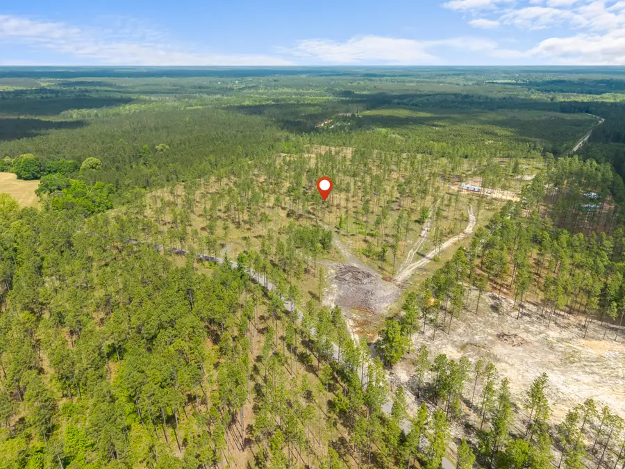 16.72 Ac. Courtney Rd., Lumberton, MS 39455 - #2