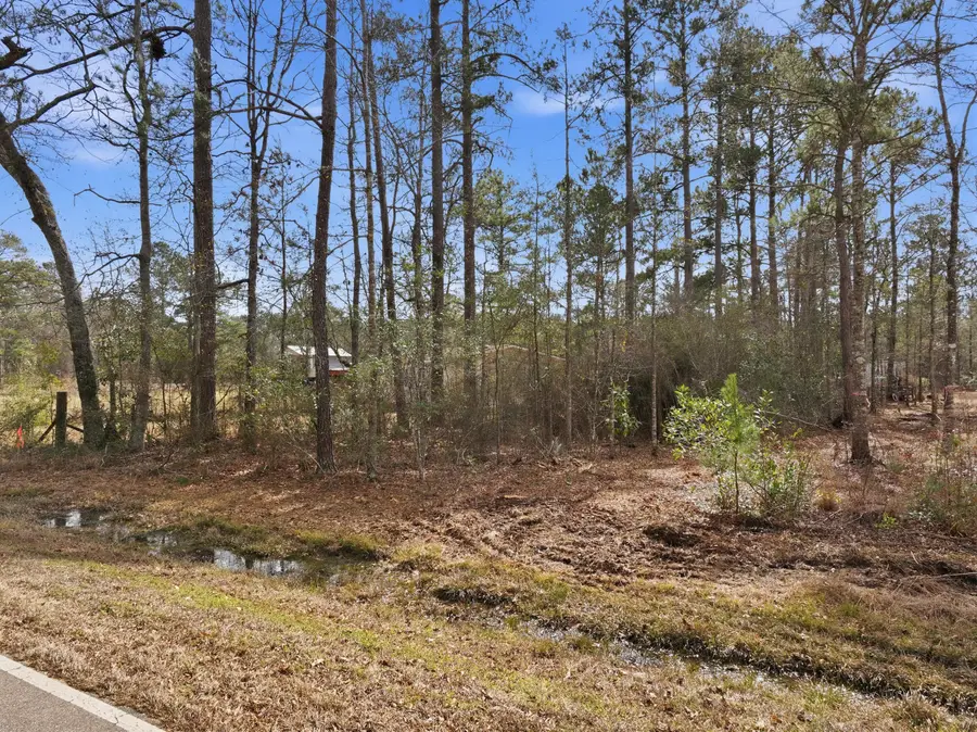 13.2+/- Ac Morriston Rd., Petal, MS 39465 - #3