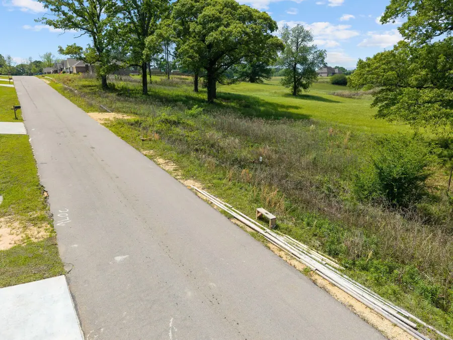 41 Sapphire Dr., Purvis, MS 39475 - #2