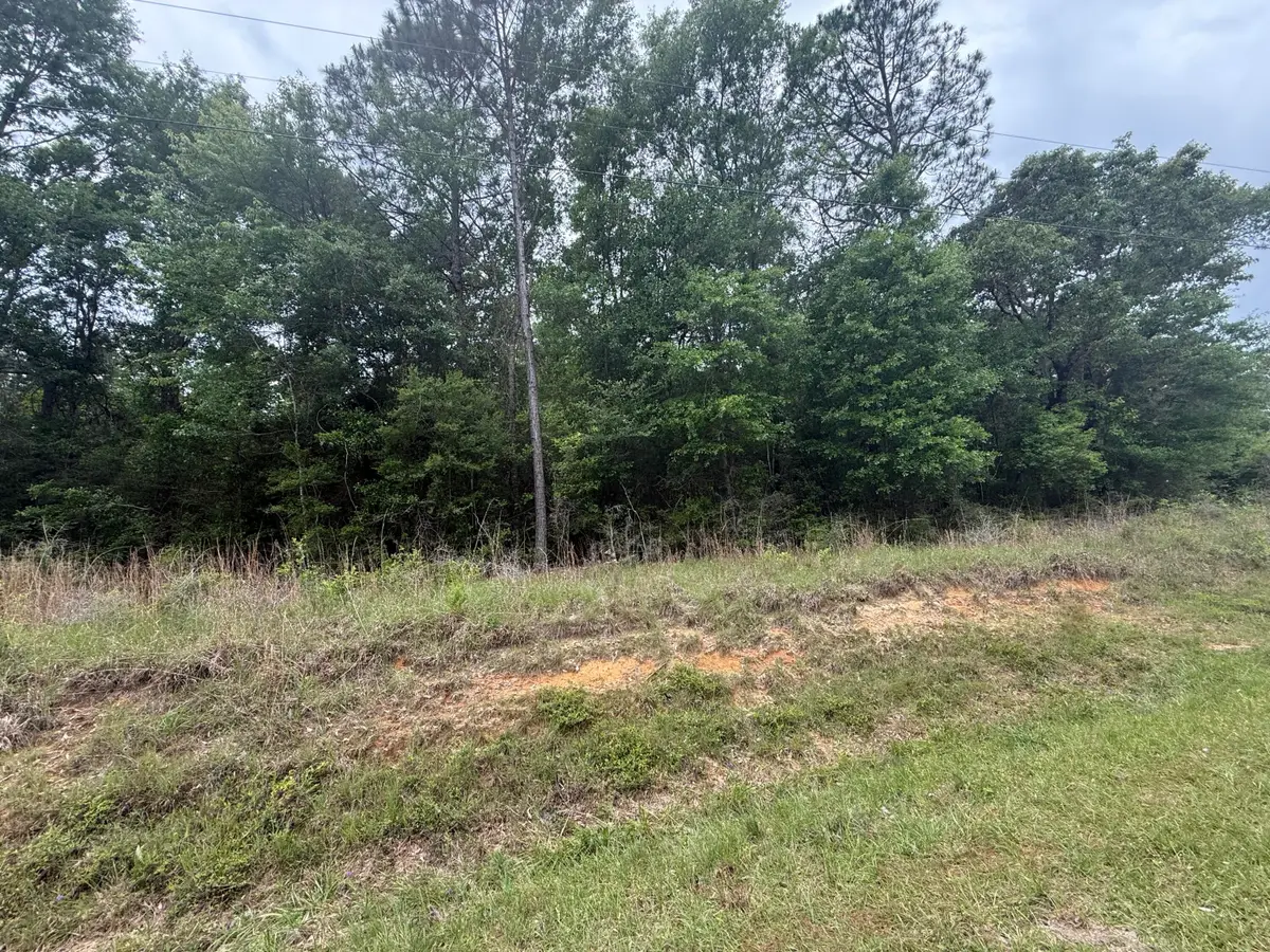 00 Otho Davis, Lumberton, MS 39455 - #1