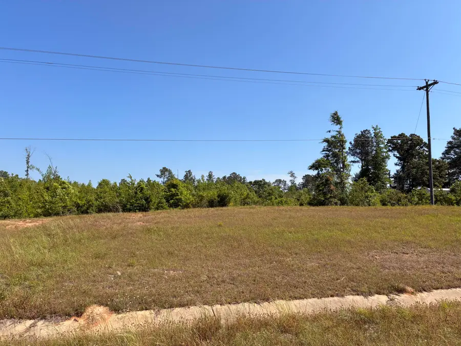 TBD U.s. 84, Prentiss, MS 39474 - #2