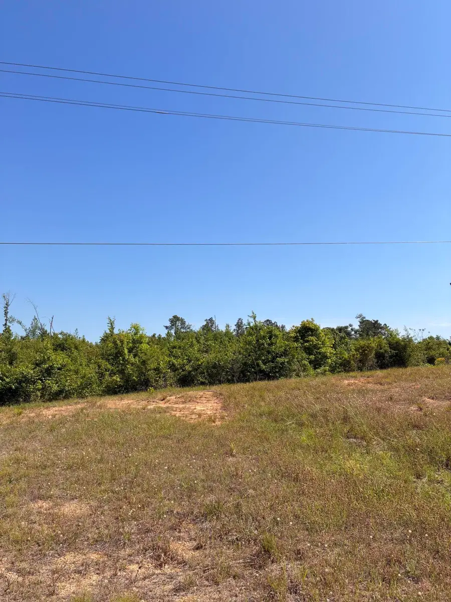 TBD U.s. 84, Prentiss, MS 39474 - #3