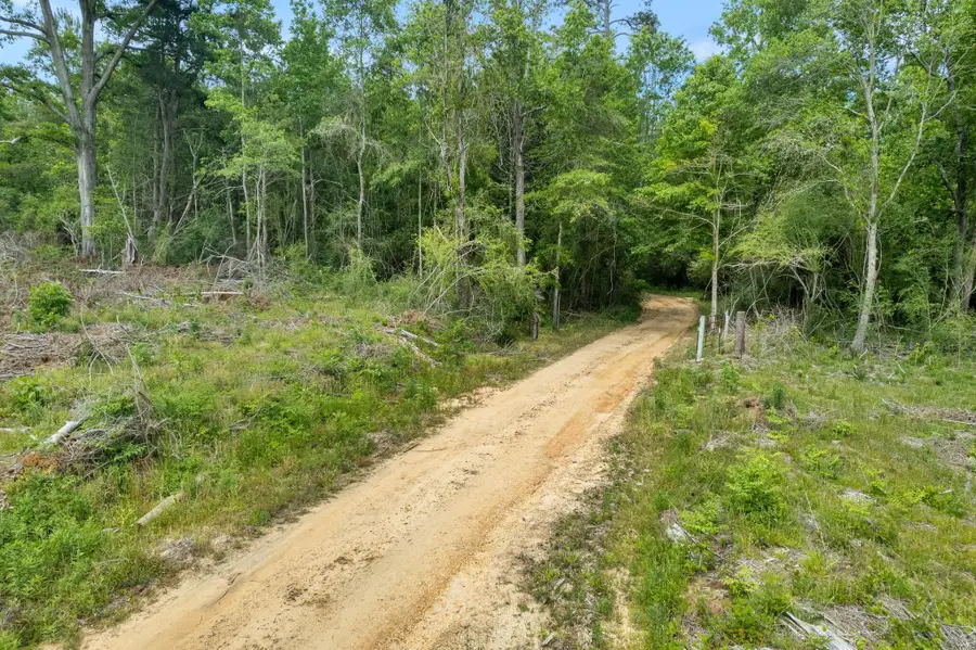 00 Our Dr., Taylorsville, MS 39168 - #2