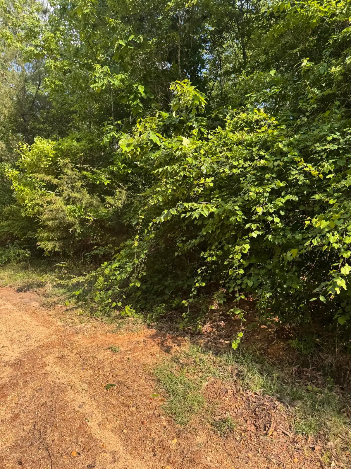 100 Bryant Ln., Magee, MS 39111 - #1
