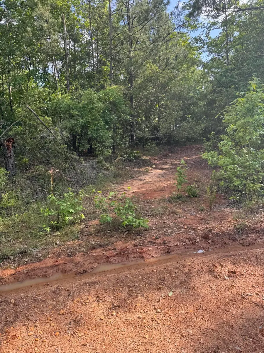 100 Bryant Ln., Magee, MS 39111 - #3