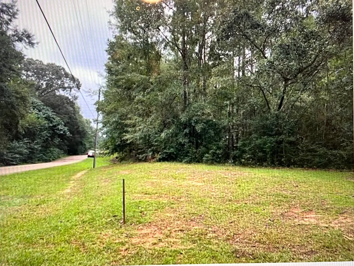 Lot 5-B Lot 5- B Angler's Point, Lumberton, MS 39455 - #1