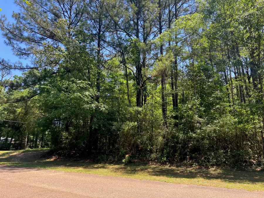 Lot 5-B Lot 5- B Angler's Point, Lumberton, MS 39455 - #2