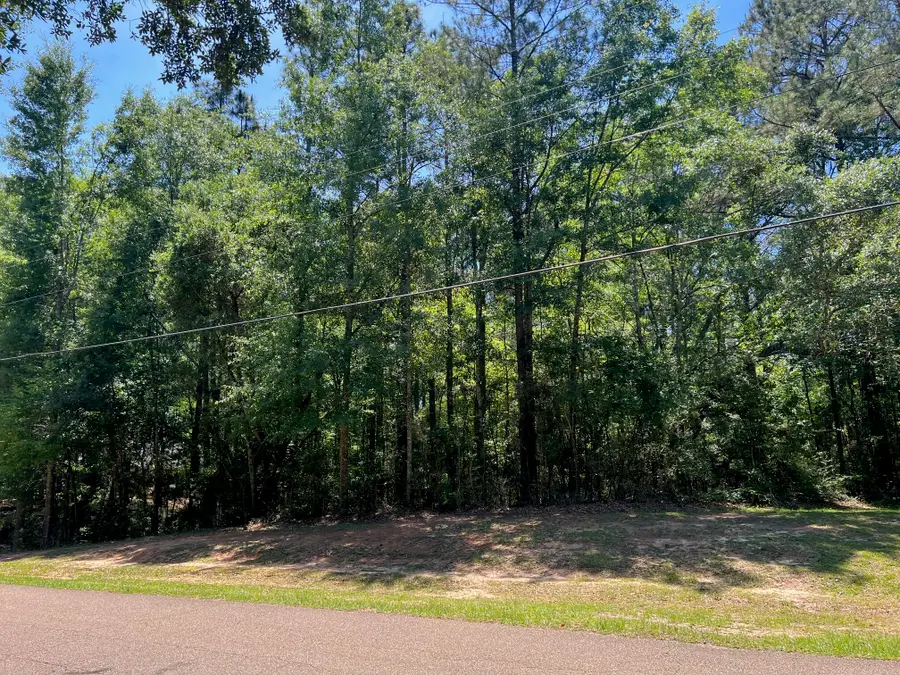 Lot 5-B Lot 5- B Angler's Point, Lumberton, MS 39455 - #3