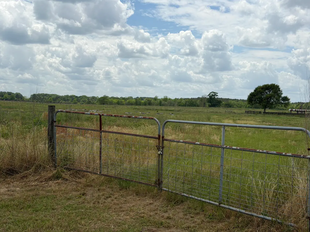 12 Acres Good Hill Rd., Lumberton, MS 39455 - #1