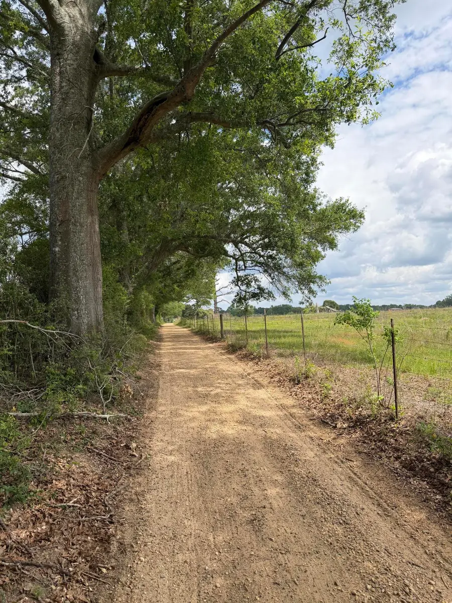 17 Acres Good Hill Rd., Lumberton, MS 39455 - #3