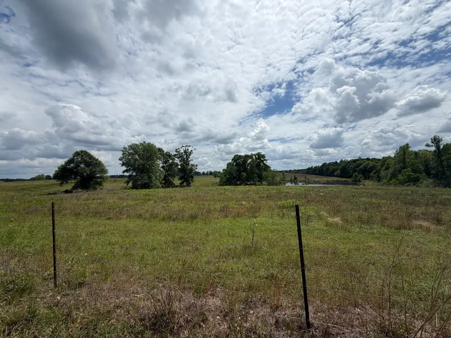 18 Acres Good Hill, Lumberton, MS 39455 - #3