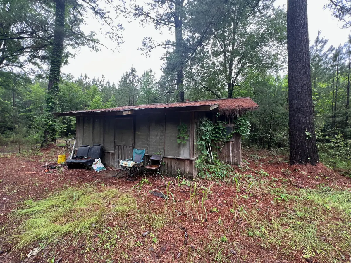 0000 Co Rd 216, Shubuta, MS 39360 - #1