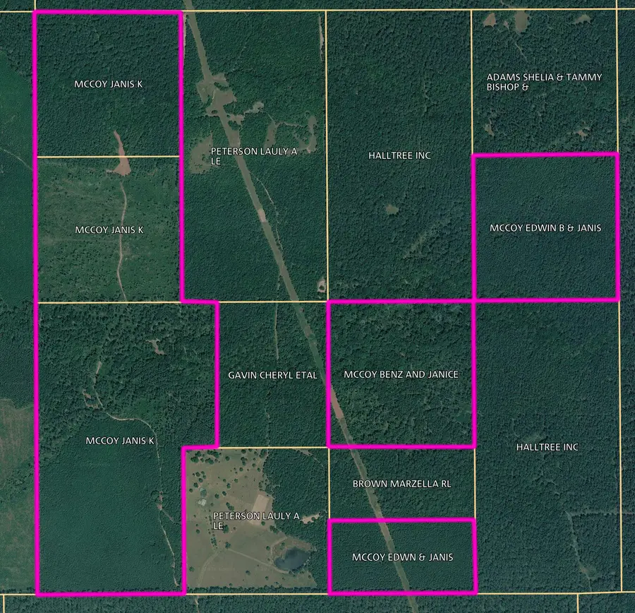 0000 Co Rd 216, Shubuta, MS 39360 - #2