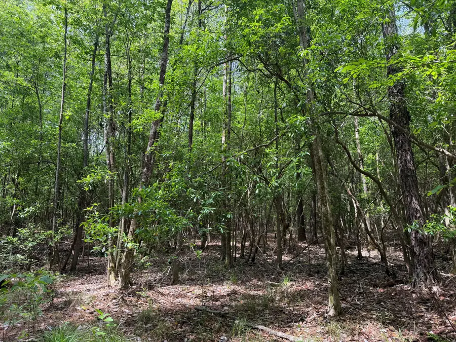 00 301c1, Brooklyn, MS 39425 - #2