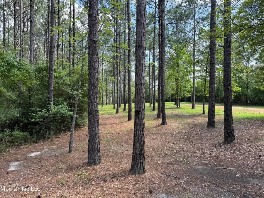 2455 Mississippi 26, Lumberton, MS 39455 - #3