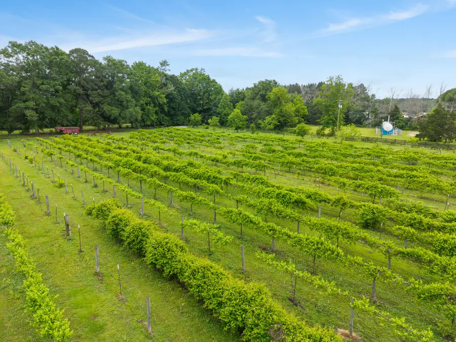 1233 Mississippi 15, Richton, MS 39476 - #3