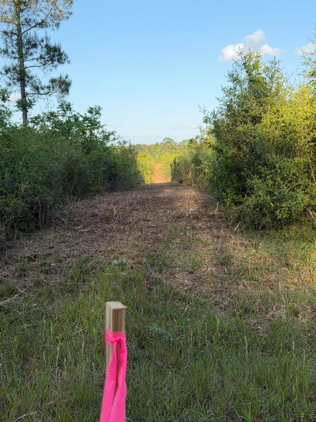 14.6 Acres Hwy 48 East, Sandy Hook, MS 39478 - #1