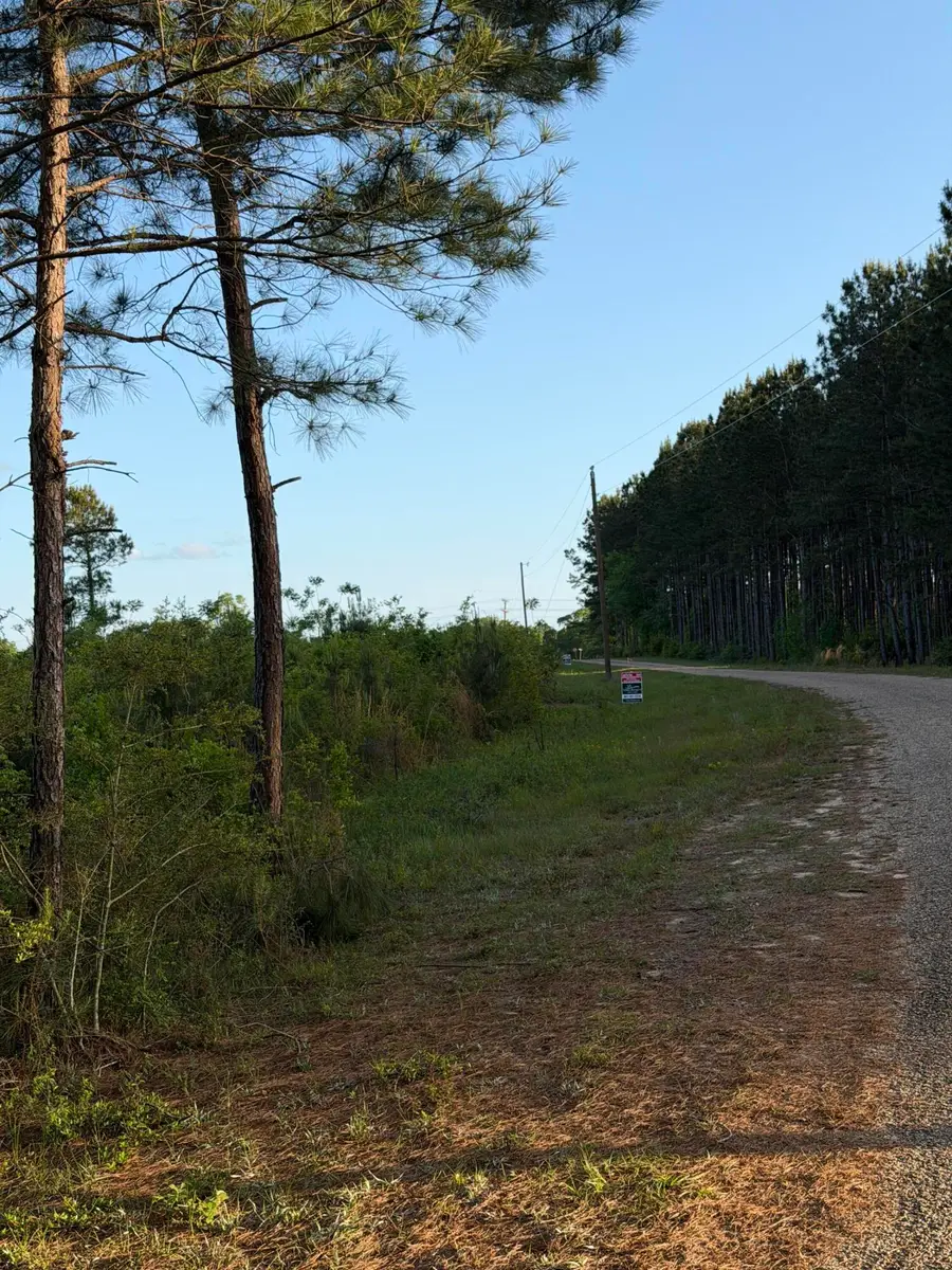 14.6 Acres Hwy 48 East, Sandy Hook, MS 39478 - #3