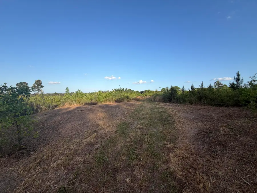 5 Acres Mt. Bethel Rd., Sandy Hook, MS 39478 - #3