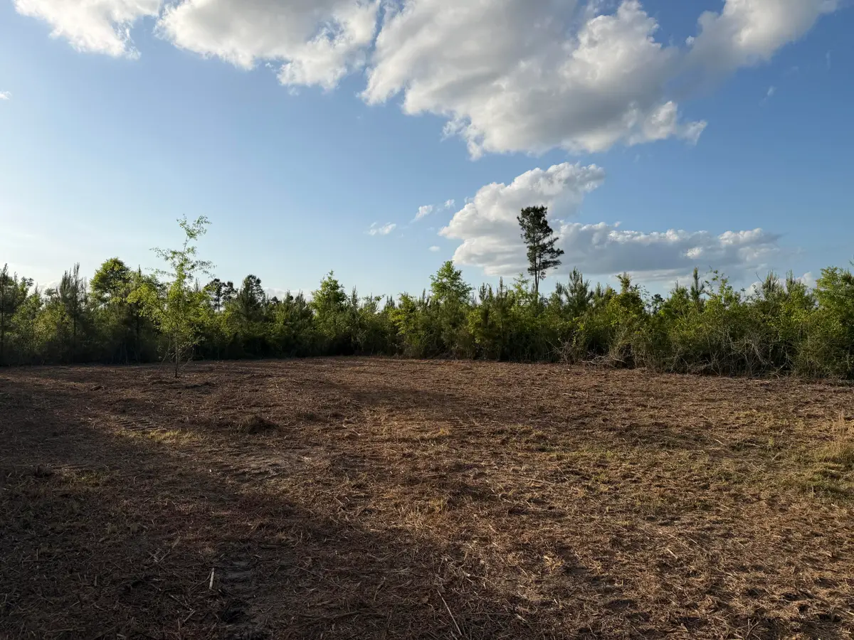 6.2 Acres Mt Bethel Rd., Sandy Hook, MS 39478 - #1