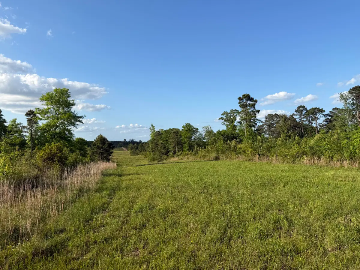 8 Acres Hwy 48 East, Sandy Hook, MS 39478 - #1