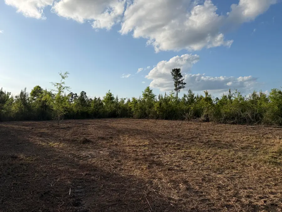 9 Acres Hwy 48 East, Sandy Hook, MS 39478 - #3