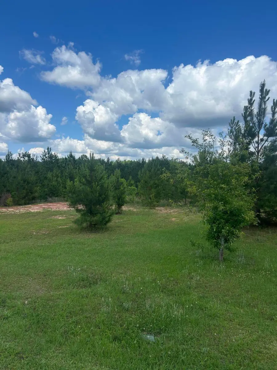 52 Joe Traylor Rd., Hattiesburg, MS 39402 - #2