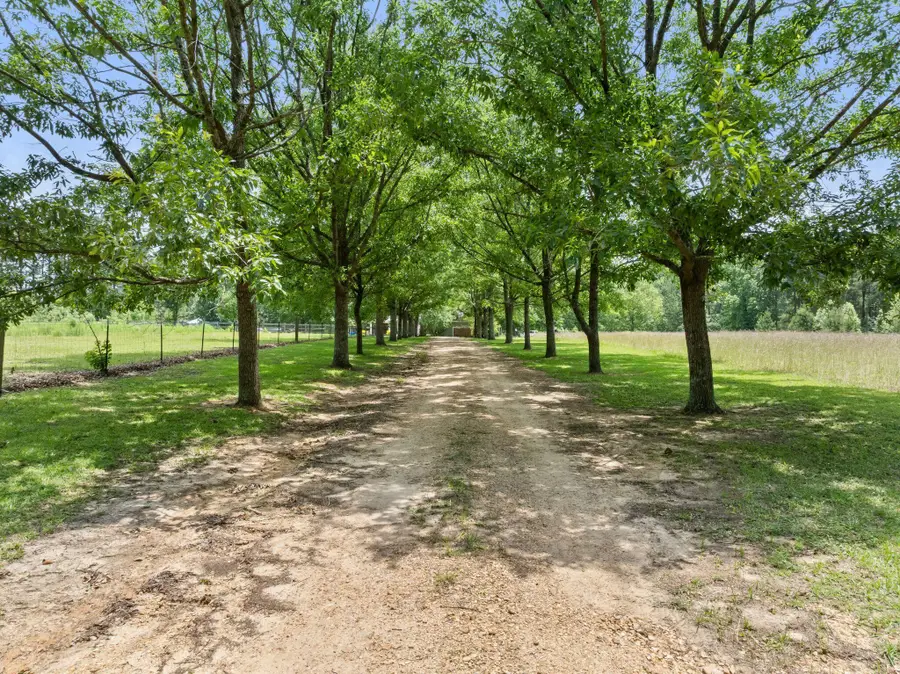 798 Purvis Oloh, Purvis, MS 39475 - #2