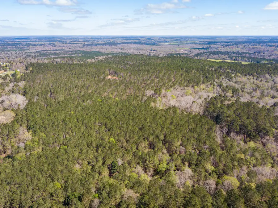 9.5 ac Timothy Rd., Ellisville, MS 39437 - #2