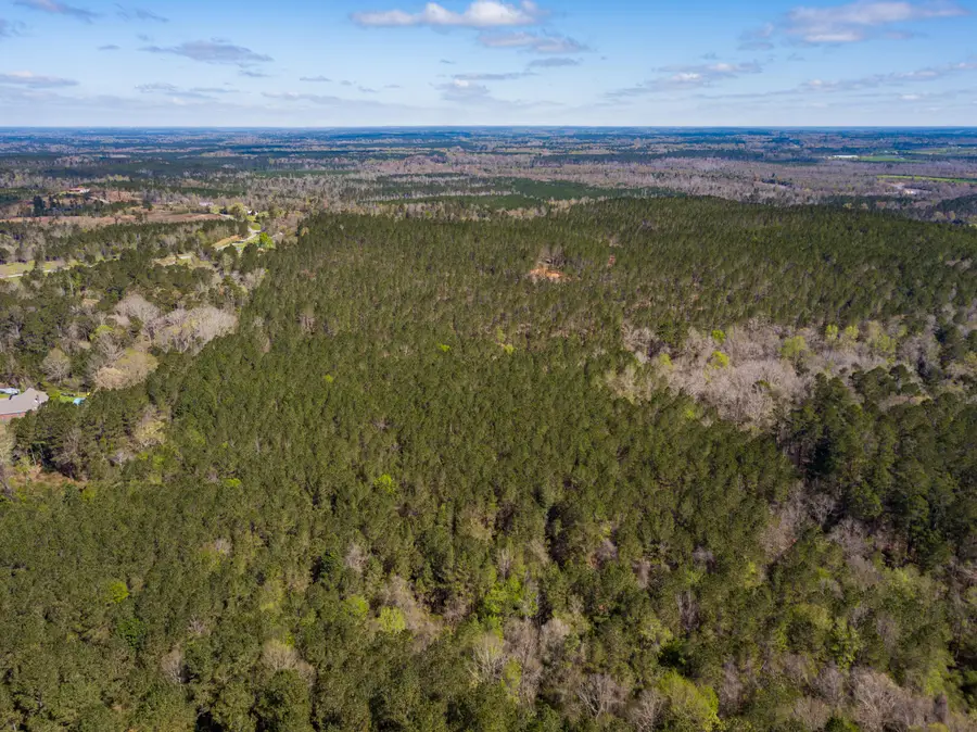 9.5 ac Timothy Rd., Ellisville, MS 39437 - #3