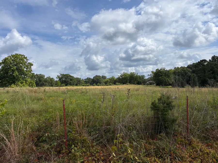 Lot 1 Pigott, Tylertown, MS 39667 - #2