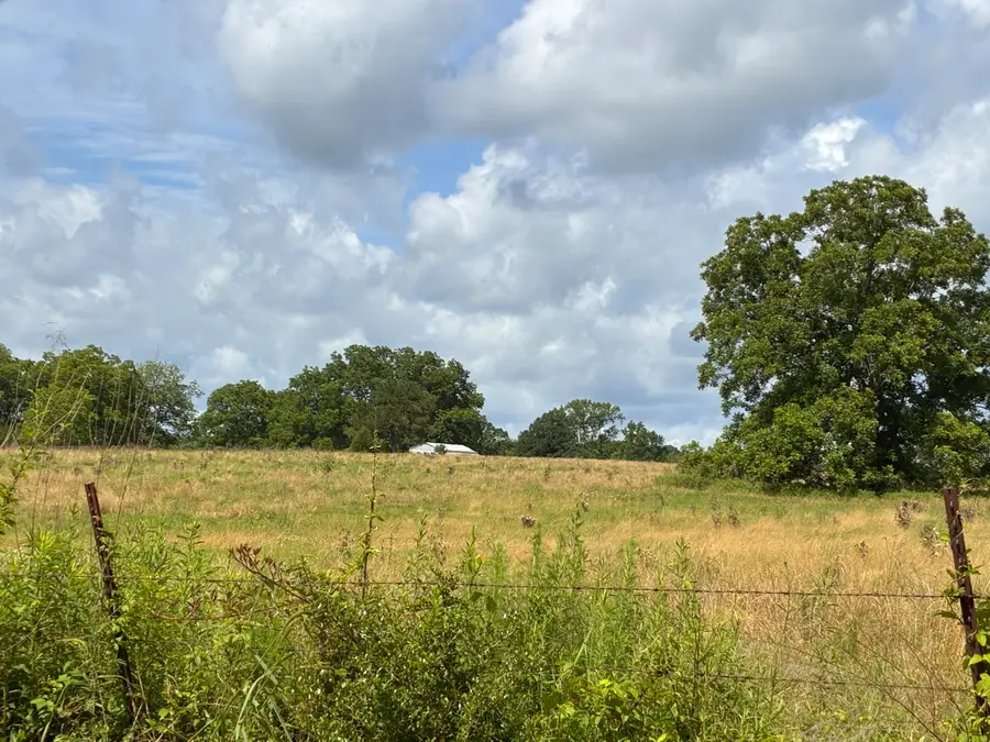 Lot 4 Pigott, Tylertown, MS 39667 - #2
