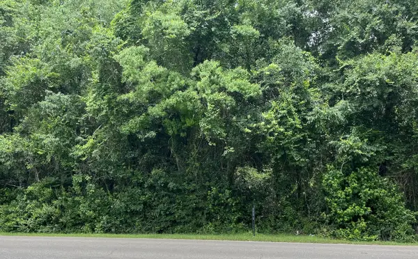 6.69 acres Leeville Rd., Petal, MS 39465