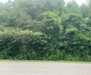 6.69 acres Leeville Rd., Petal, MS 39465 - #2