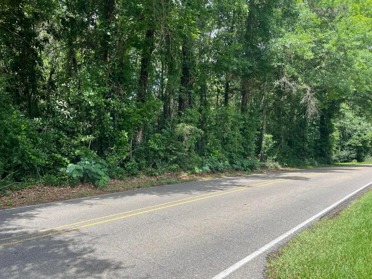 000 Leeville Rd., Petal, MS 39465 - #1