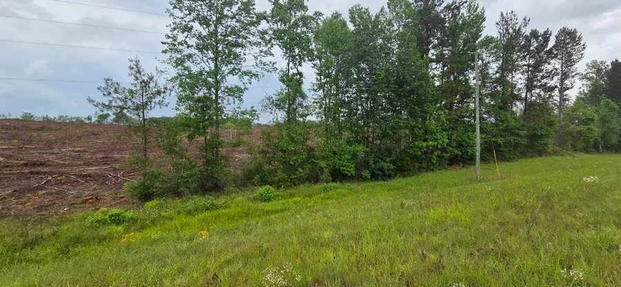00 Highway 29, New Augusta, MS 39462 - #3