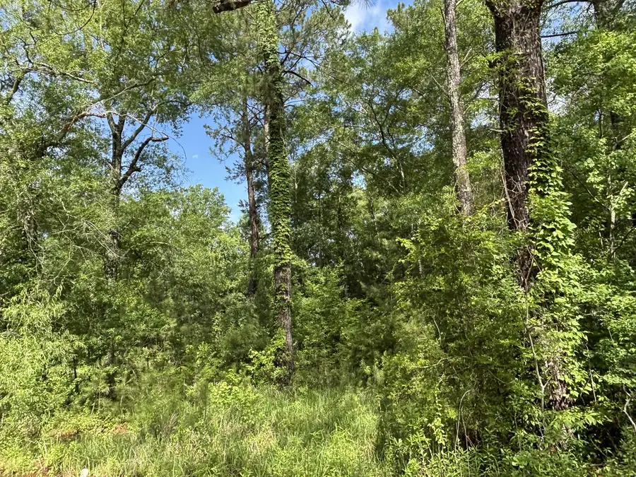 1133 Macedonia Rd., Petal, MS 39465 - #2