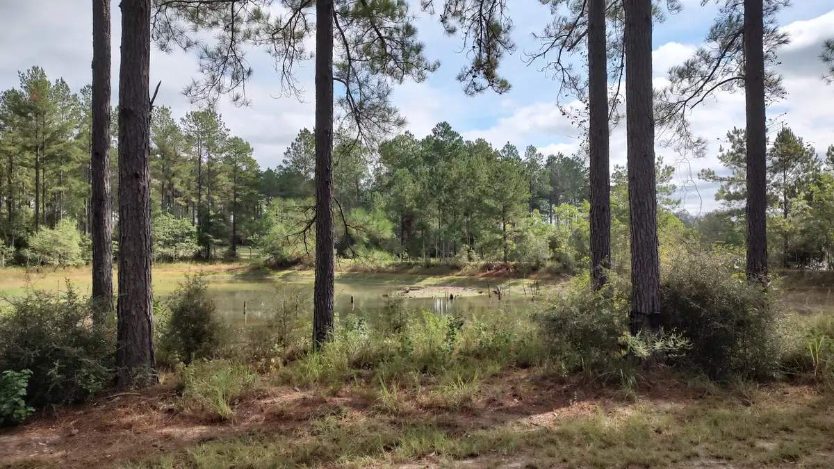NHN Ms-13, Lumberton, MS 39455 - #1