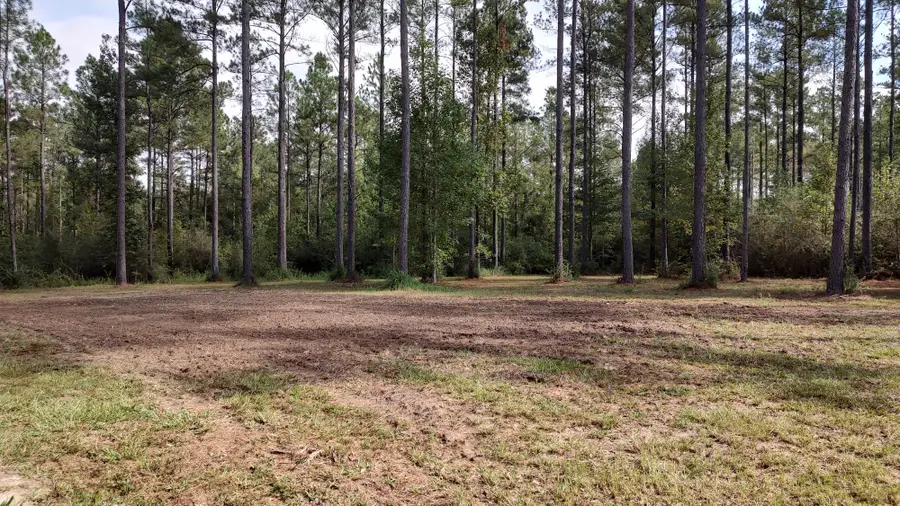 NHN Ms-13, Lumberton, MS 39455 - #2
