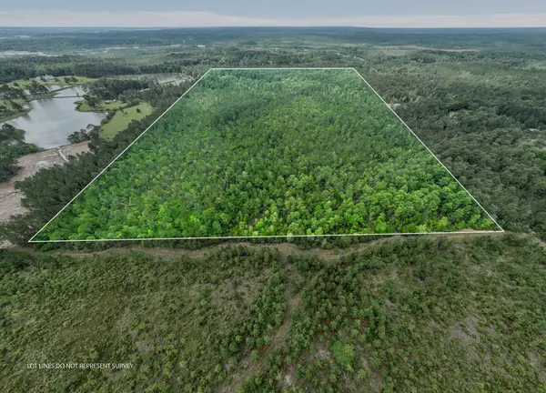 80 +/- Acres Blue Wood Dr., Vancleave, MS 39565