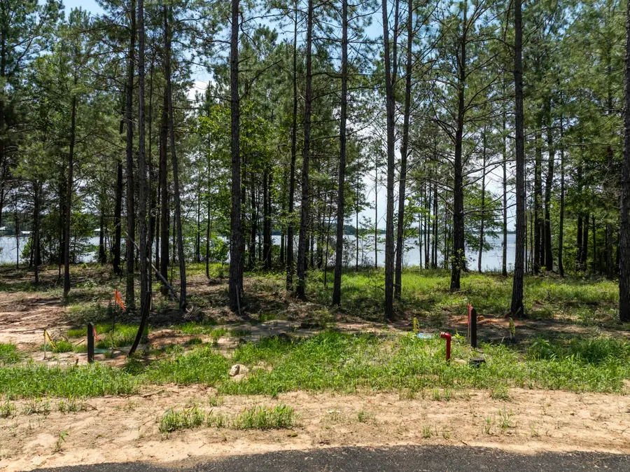 Lot 61 Bennett Point, Lumberton, MS 39455 - #2