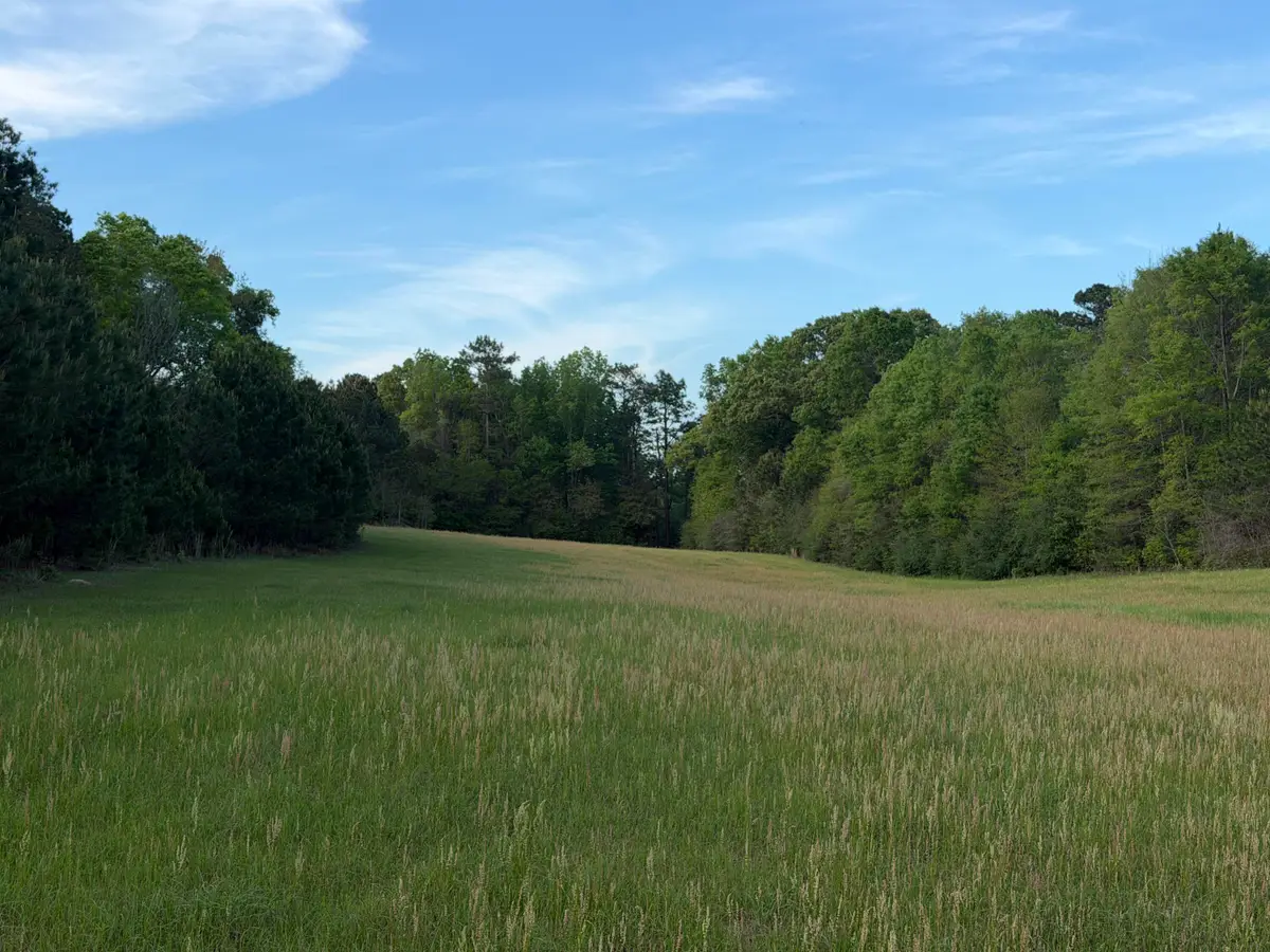29.47 Acre Highway 13, Lumberton, MS 39455 - #1