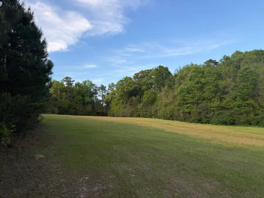 29.47 Acre Highway 13, Lumberton, MS 39455 - #2
