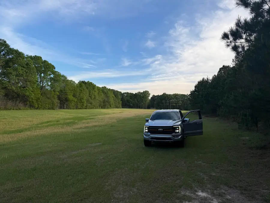 29.47 Acre Highway 13, Lumberton, MS 39455 - #3
