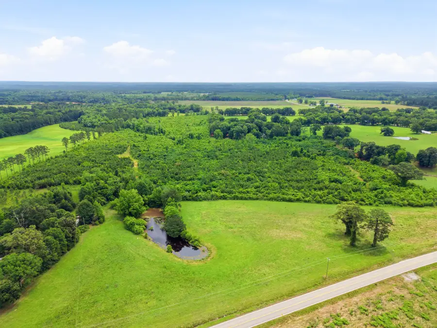 Lot 2 00 Ms Highway 29, Ovett, MS 39464 - #2